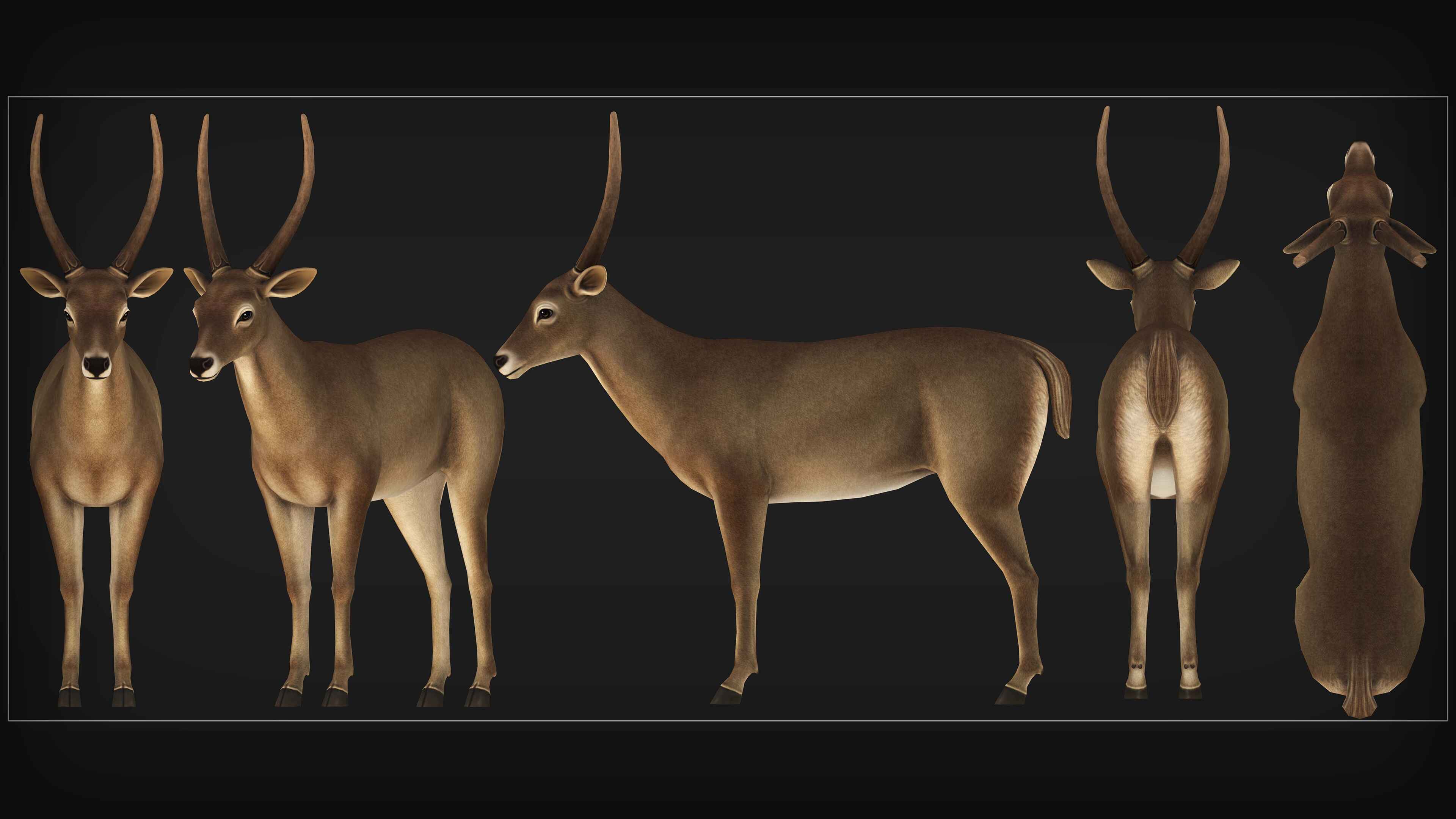 mobile-ready-3d-characters-14